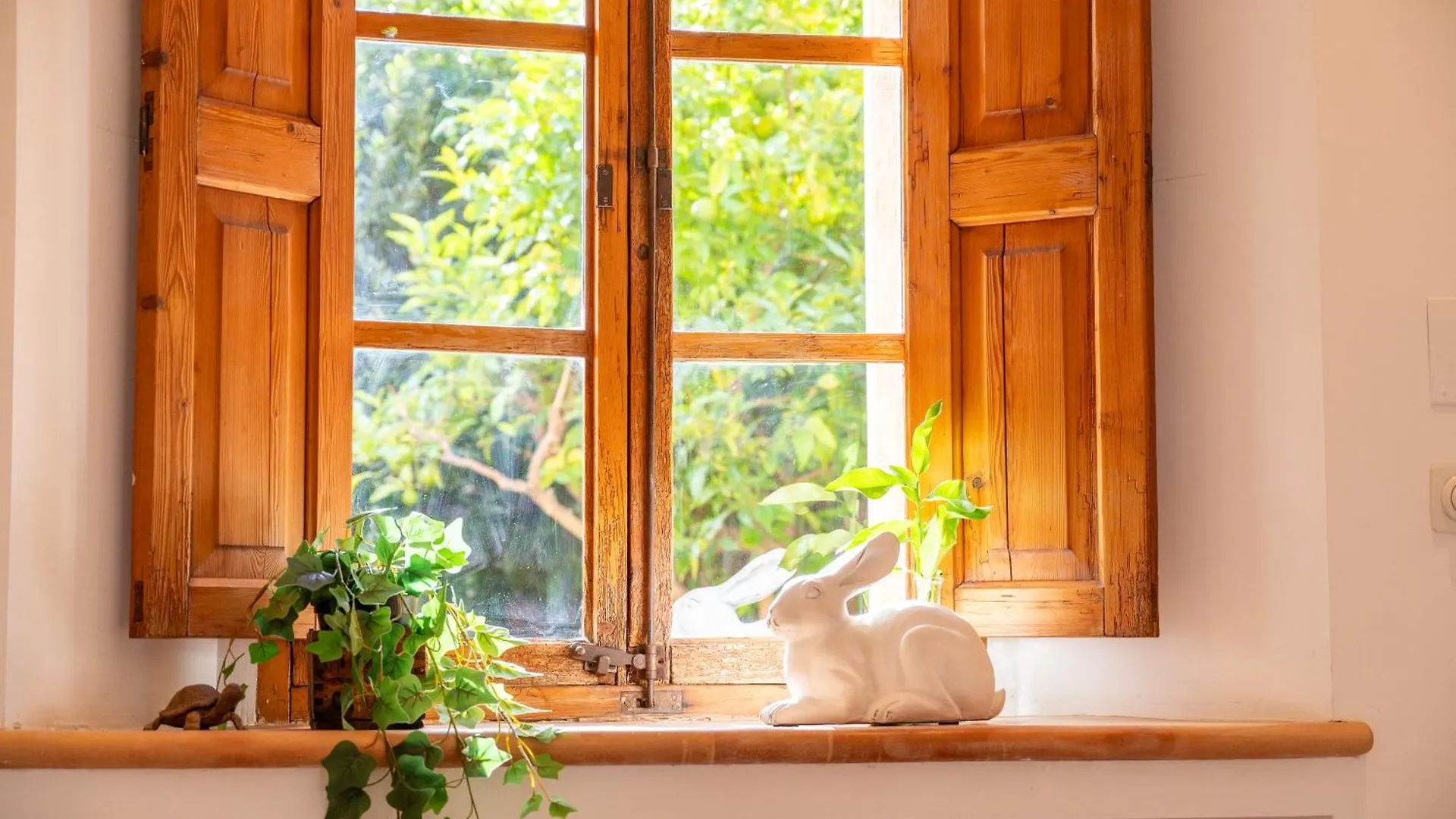 Villa Casa Amber Sóller Spagna